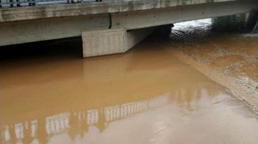 Seller K&ouml;pr&uuml;y&uuml; Tıkadı K&ouml;rk&uuml;n &Ccedil;ayı Taştı