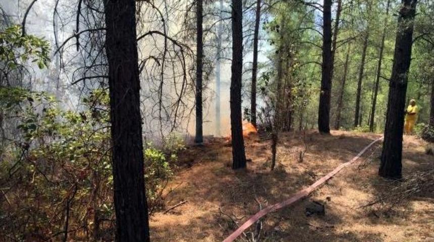 Kaş'ta Orman Yangını