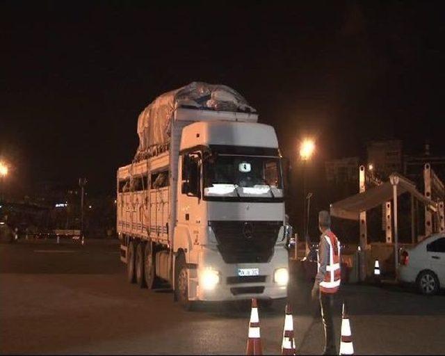 Kurbanlıklar İstanbul'a Gelmeye Başladı
