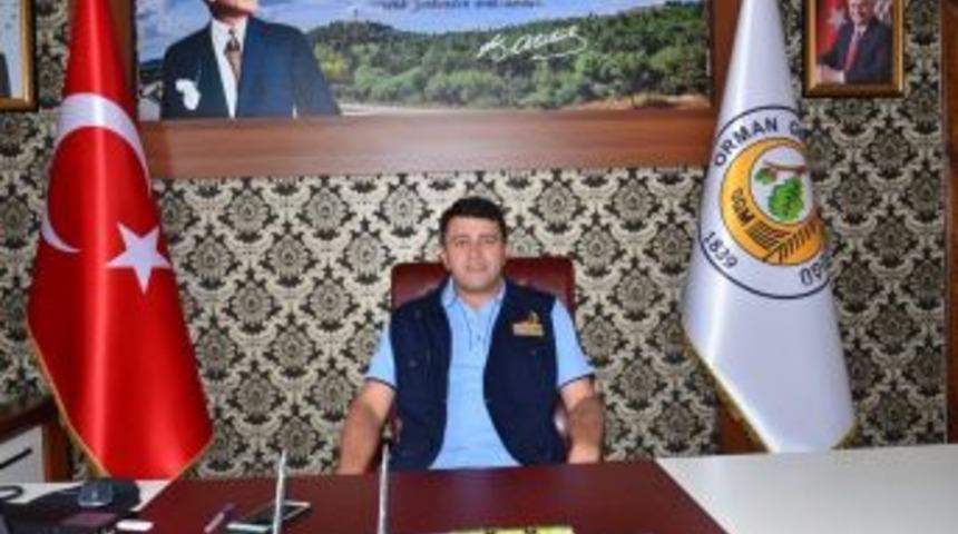 Balıkesir&rsquo;de &Ccedil;ıkan 181 Yangında 45 Hektar Alan Yandı