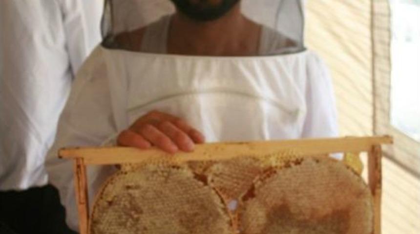 Muğla&rsquo;da &Ccedil;am Balı &Uuml;reticisinin Y&uuml;z&uuml; G&uuml;l&uuml;yor