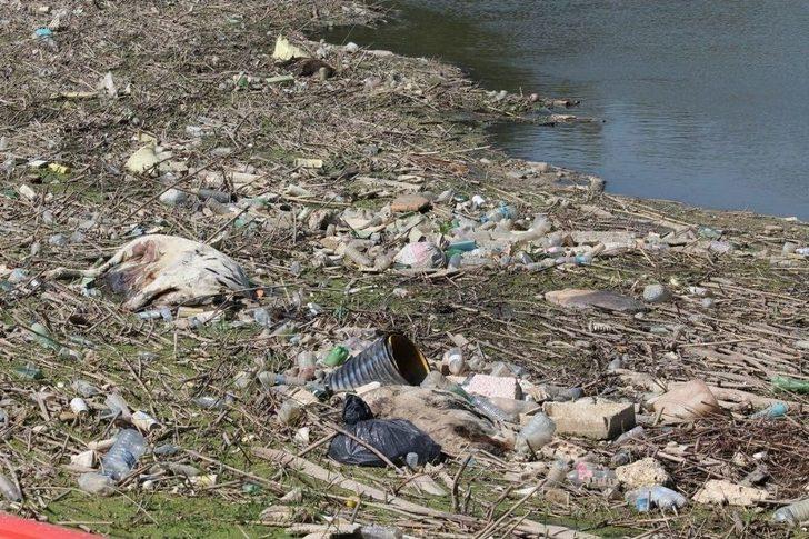 Uzmanlar, Büyük Menderes Nehri’ndeki Tehlikeye Dikkat Çektiler G4
