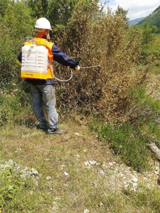 Obm’nin Biyolojik Mücadele Çalışmaları Sürüyor