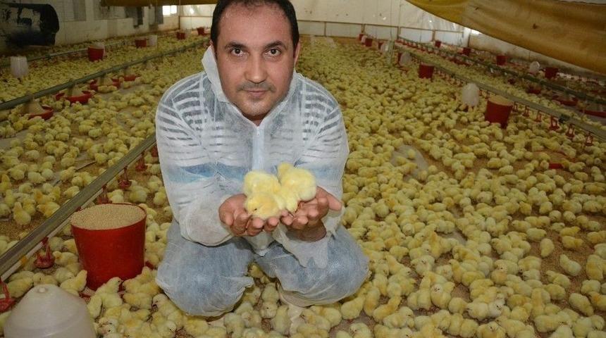 Beyaz Ette Y&uuml;zde 11 Anlaşmazlığı