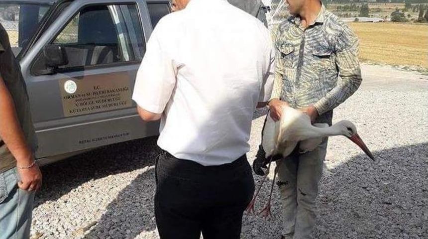 Yaralı Leylek, Hayvanları Koruma Derneği&rsquo;ne Teslim Edildi