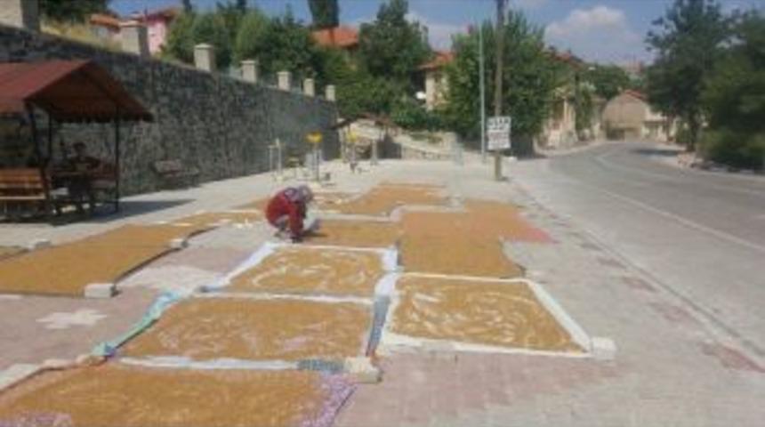 Bulgurluk Buğdaylar Yol Kenarlarında Kurutuluyor