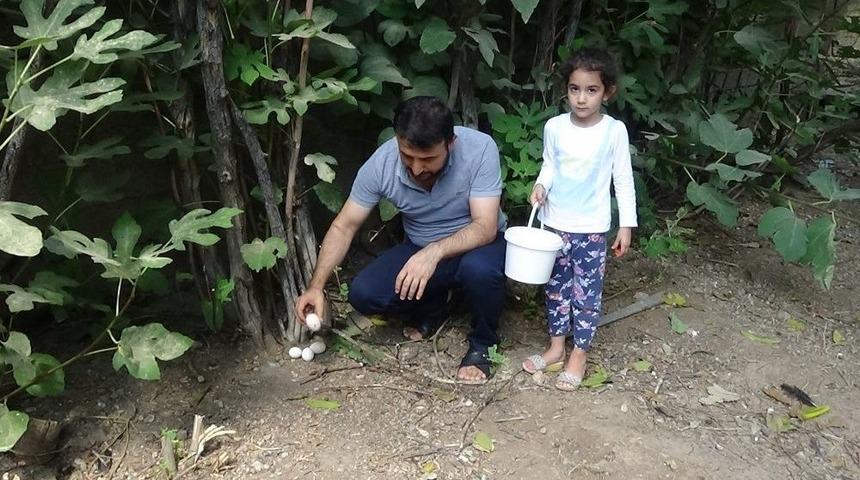 Ek İş Olarak Başladı, Avrupa&rsquo;ya İhra&ccedil; Ediyor