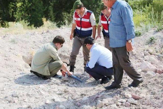 Galatların Başşehri Tavium, Tarihe Işık Tutacak