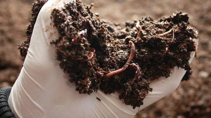 Solucan G&uuml;bresi &Uuml;retene Y&uuml;zde 50 Hibe Desteği