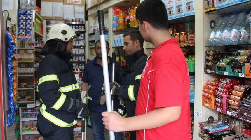 B&uuml;feye Giren Gelinciği Telefondan &Ccedil;ıkarttıkları Hayvan Sesleriyle Aradılar