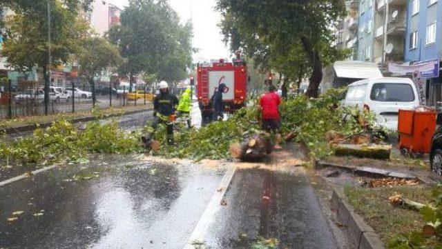 Kocaeli'de Yağmur Etkili Oldu