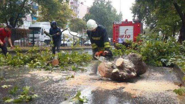 Kocaeli'de Yağmur Etkili Oldu