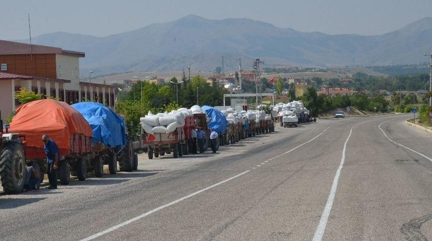 G&uuml;ny&uuml;z&uuml;&rsquo;nde Haşhaş Kaps&uuml;l Alımı Başladı