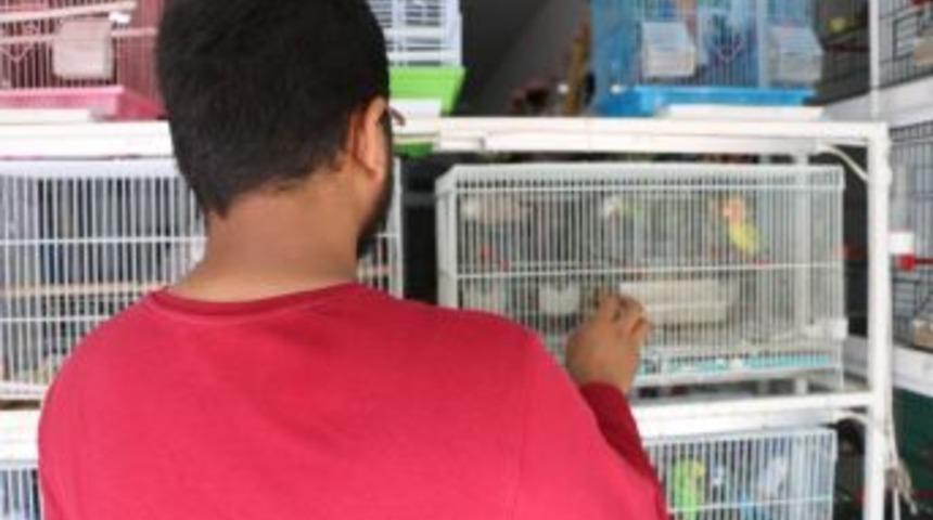 Petshopcular Arasındaki Kopukluk, Sektörü Olumsuz Etkiliyor