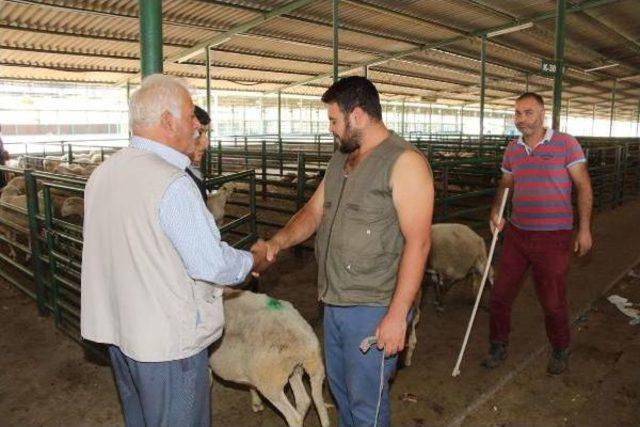 Manisa'da Kurbanlıkta Hem Satıcı Hem Alıcı Dertli