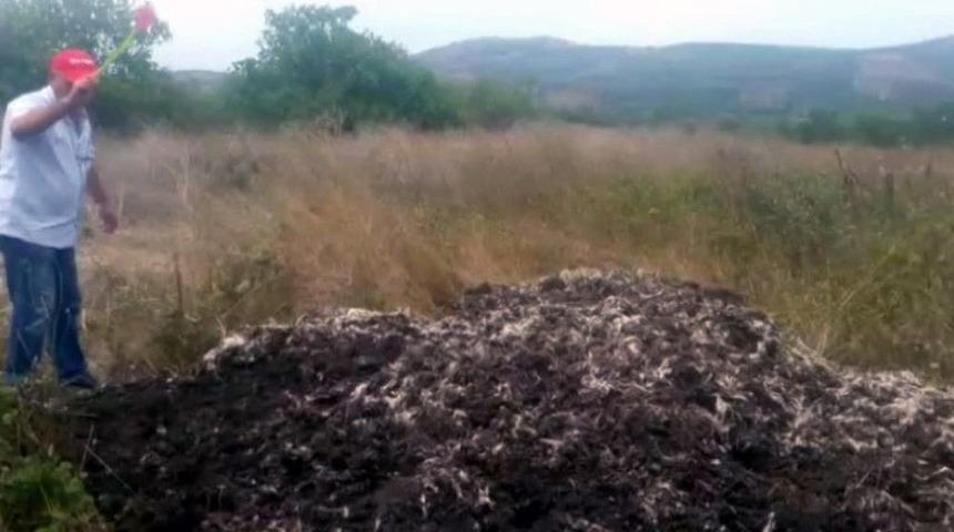 Tavuk &Ccedil;iftliği Y&uuml;z&uuml;nden Canlarından Bezen K&ouml;yl&uuml;ler Sinek Avı Başlattı