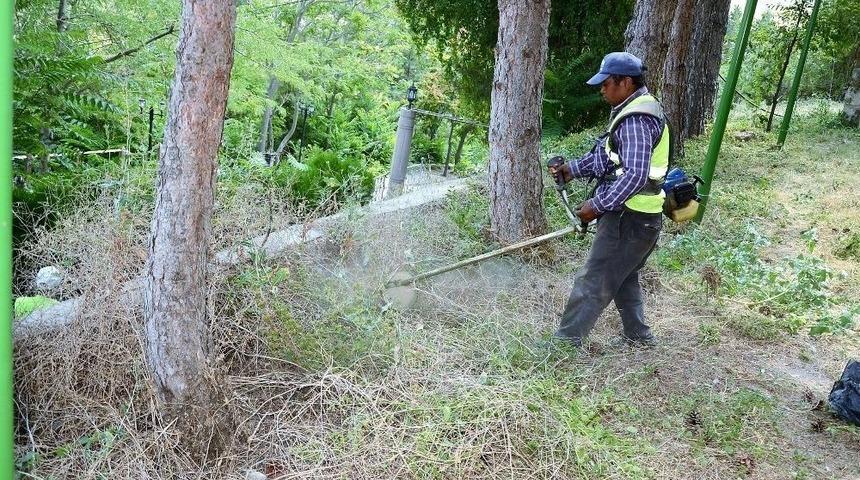 Seyitgazi Belediyesi Bayrama Hazırlanıyor