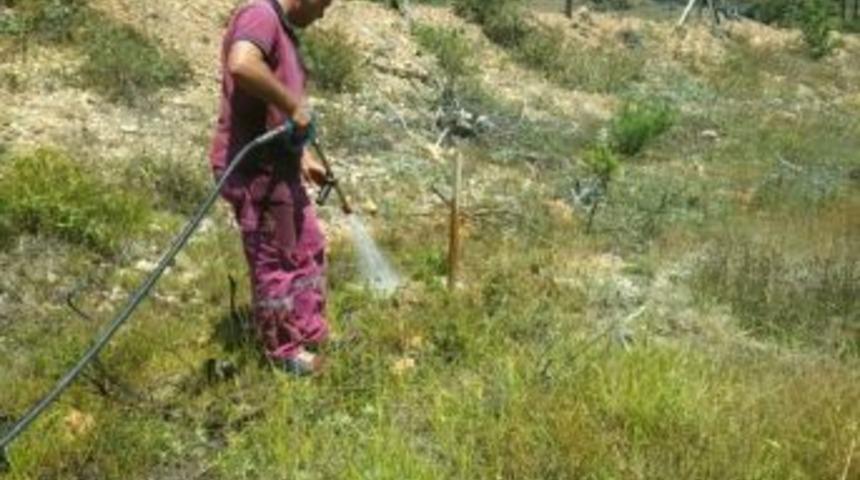 Bolu&rsquo;da 61 Bin Fidana Can Suyu