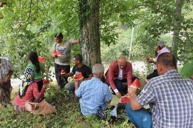 Başkan Togar: “tarlada İzi Olmayanın Harmanda Yüzü Olmaz”