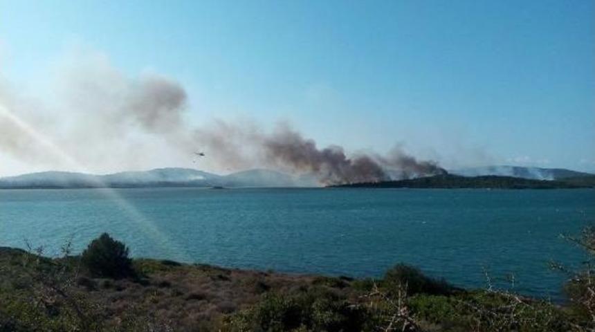 Ayvalık'ta Orman Yangını (2)