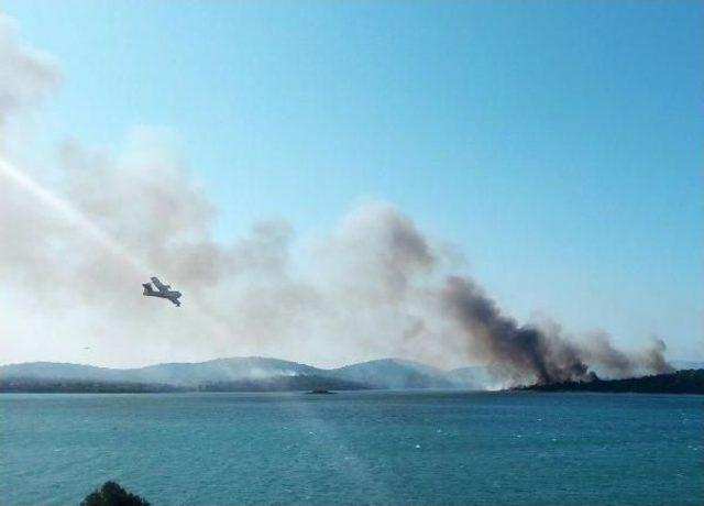 Ayvalık ta Orman Yangını (2) 1