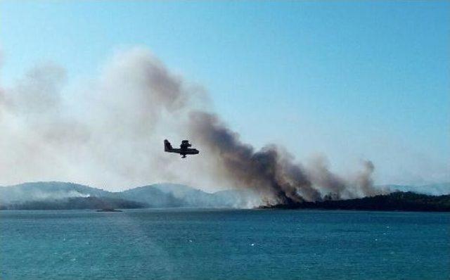 Ayvalık ta Orman Yangını (2) 2