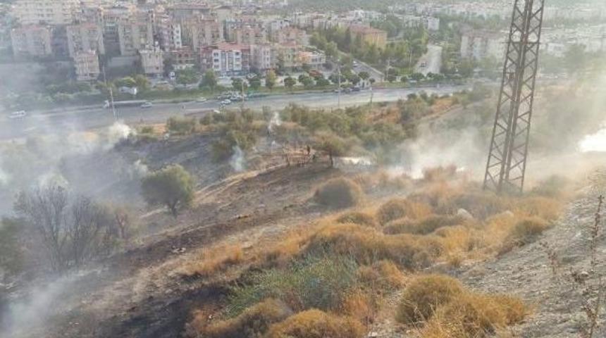 Milas'ta Bayrak Tepe'de Yangın
