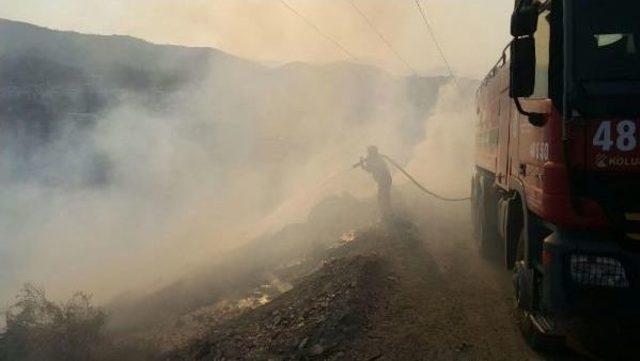 Milas'ta Bayrak Tepe'de Yangın