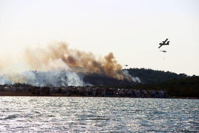 Ayvalık’taki Orman Yangını Kontrol Altına Alındı