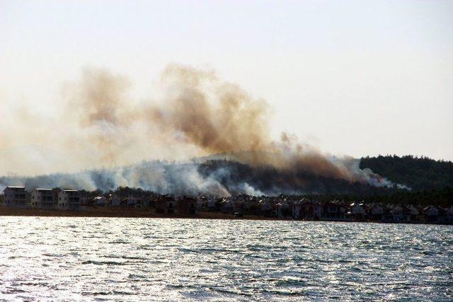 Ayvalık’taki Orman Yangını Kontrol Altına Alındı