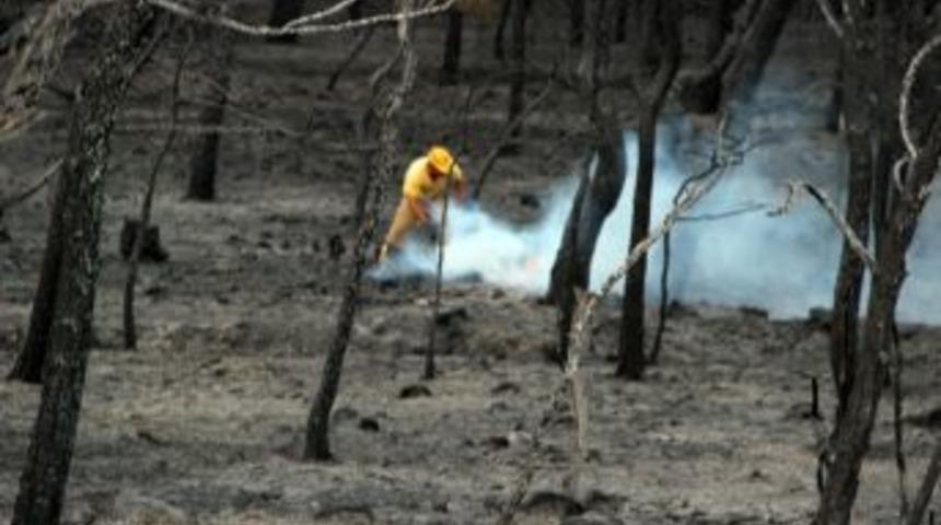 Ayvalık&rsquo;ta Yangın Sonrası Y&uuml;rek Yakan G&ouml;r&uuml;nt&uuml;