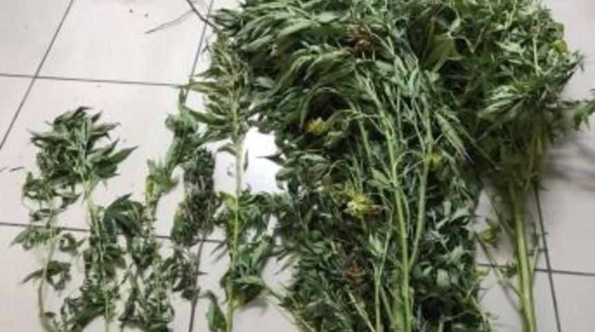 Jandarma Ve Polisten Ortak Operasyon