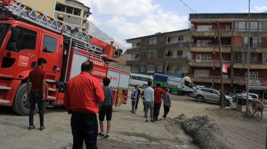 Mezbahadan Ka&ccedil;an Boğa Ortalığı Birbirine Kattı