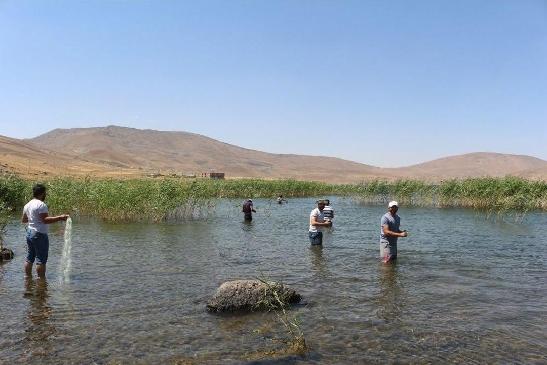 T&uuml;rkiye&rsquo;nin En Y&uuml;ksek Rakımlı G&ouml;l&uuml; Ziyaret&ccedil;i Akınına Uğruyor