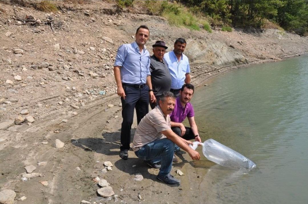 Simav&rsquo;da G&ouml;letlere 27 Bin Yavru Balık Bırakıldı