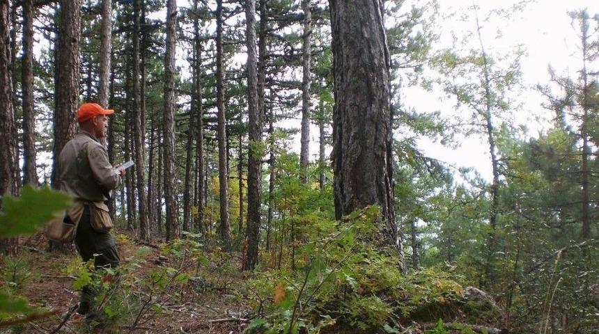 Bursa&rsquo;da Av Yasağı Kalkıyor