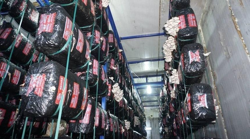 H&uuml;k&uuml;met, Gen&ccedil; &Ccedil;ift&ccedil;ilere Destek Olmaya Devam Ediyor