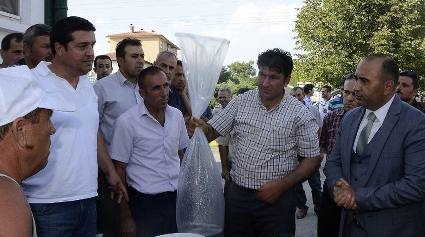 Afyonkarahisar&rsquo;da G&ouml;l Ve G&ouml;letlere 535 Bin Adet Balık Bırakıldı