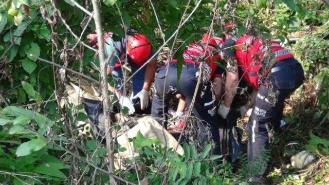 Fındık Işçilerini Taşıyan Traktör Devrildi: 7 Ölü, 9 Yaralı (2)- Yeniden