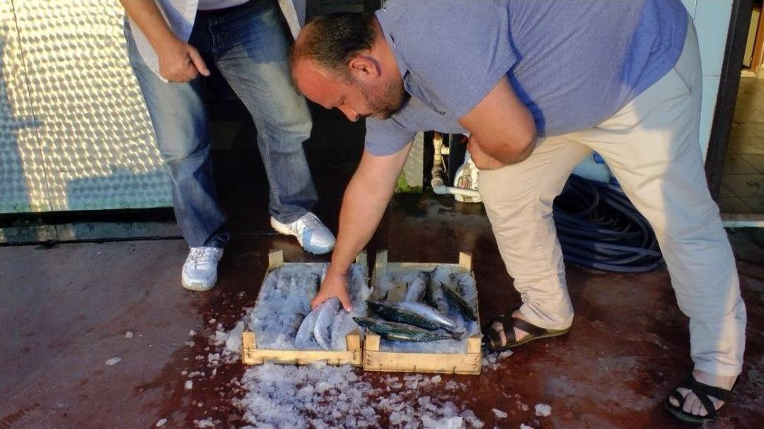 &Ccedil;apara Avcıları &Ccedil;ingene Palamutlarıyla Sevindi