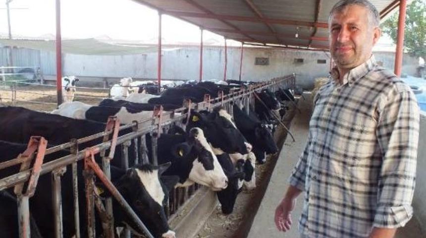 B&uuml;y&uuml;kbaş Kurbanlıklarda Pasaport Dolandırıcılığına Dikkat