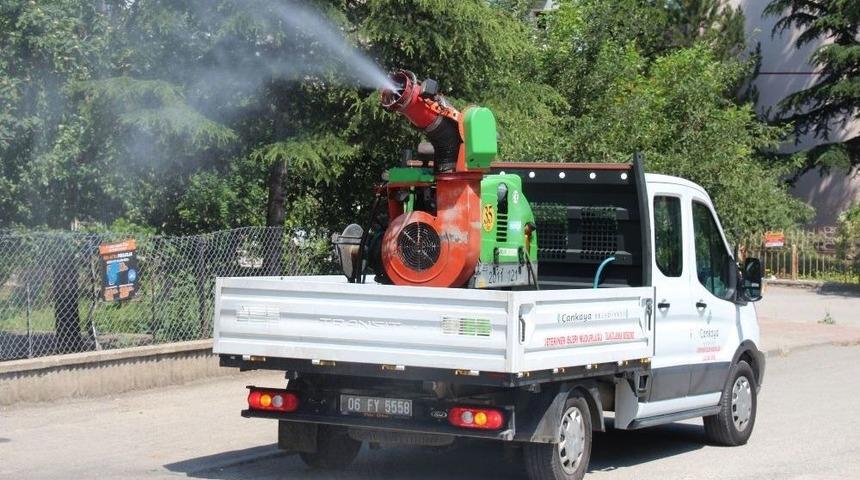 Çankaya Belediyesinden 7/24 İlaçlama Hizmeti