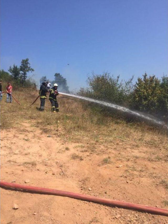 Bartın'da Anız Yangını