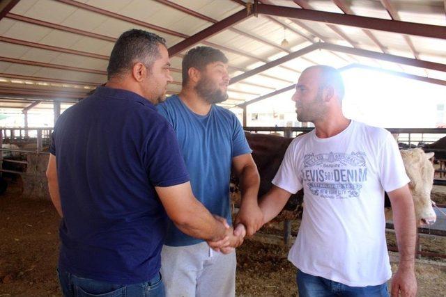 Adıyaman’da Otomobil Fiyatına Kurbanlık