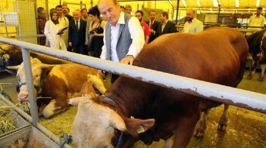 Başkan Topbaş Kurban Kesim Yerlerini Gezdi