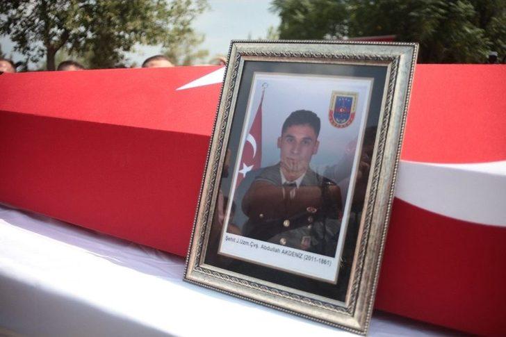 Şehidin Hamile Eşi Tabutuna Sarılarak Ağladı G1