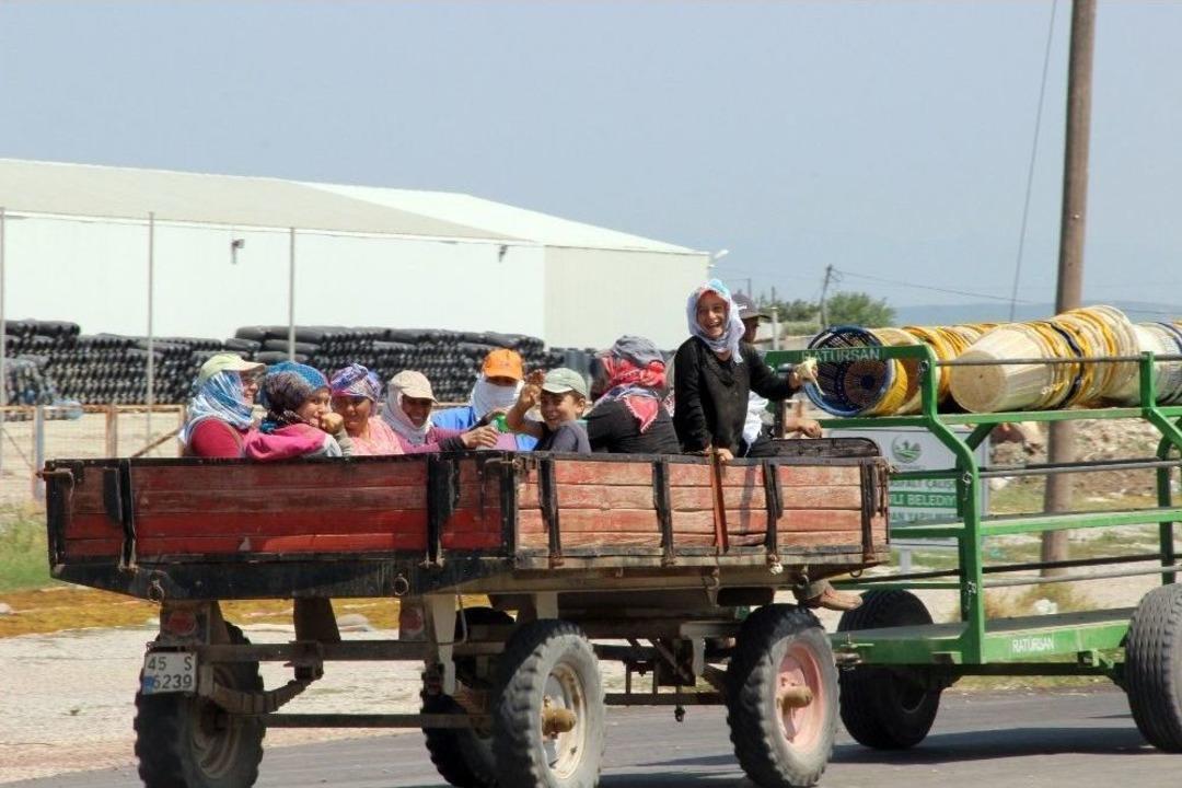 (&ouml;zel Haber) Tarım İş&ccedil;ilerinin Tehlikeli Yolculuğu Devam Ediyor