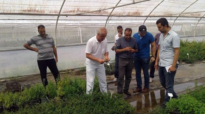 T&uuml;rkiye Tarım Alanındaki Tecr&uuml;belerini &Uuml;rd&uuml;n İle Paylaşıyor