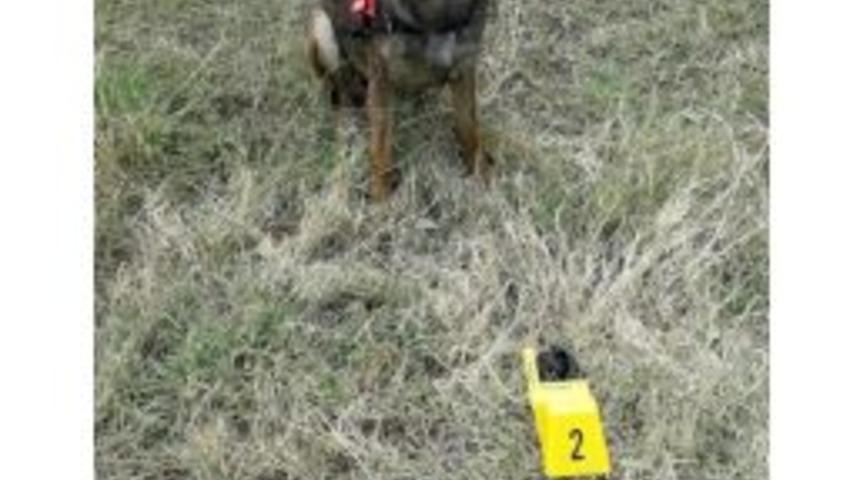 Şüphe Üzerine Durdurulan Araçta Eroin Ele Geçirildi