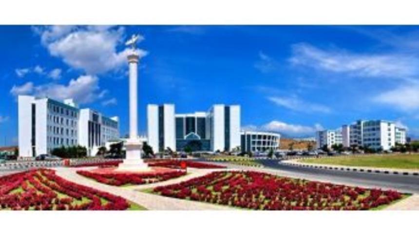 Kıbrıs Kekiği; Mide Kanseri, Ülselerler Ve Lenfomaya İyi Geliyor